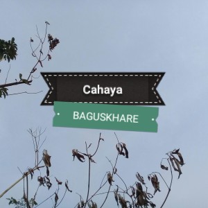 Listen to Cahaya (Acoustic) song with lyrics from Baguskhare