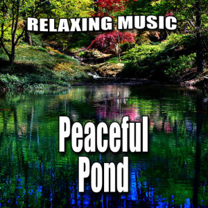 ดาวน์โหลดและฟังเพลง Tranquil Water Flow Music with Nature Sound พร้อมเนื้อเพลงจาก Relaxing Music