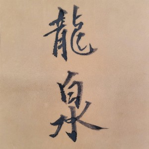 Listen to 龙泉 (完整版) song with lyrics from 赵芃