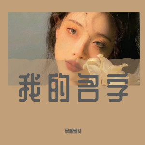 Dengarkan 寂寞烟火（DJ版） lagu dari 黑暗萝莉 dengan lirik