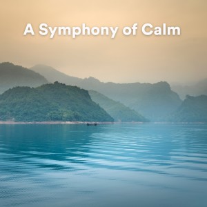 A Symphony of Calm