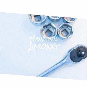 Various Artists的專輯Maintain Among