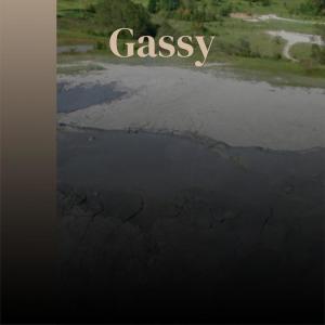 Album Gassy from Various