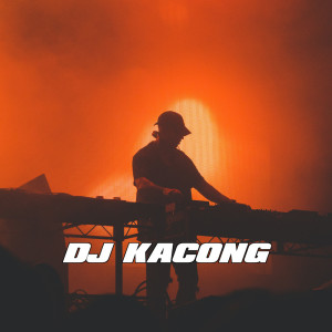 Dengarkan Dj Dua Tahun Ngana Satinggal X Bila Aku Tu Tu Tu lagu dari DJ KACONG dengan lirik