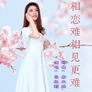 Album 相恋难相见更难（女版） from 唐大鹏