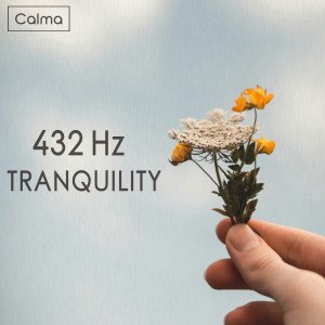 Album 432 Hz Tranquility from Calma