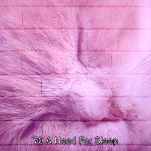 อัลบัม 70 A Need For Sleep ศิลปิน Relaxing With Sounds of Nature and Spa Music Natural White Noise Sound Therapy