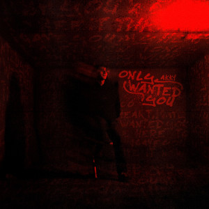 Album only wanted you from akk1