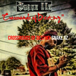 Listen to Murda Dat (Explicit) song with lyrics from Snake iiz