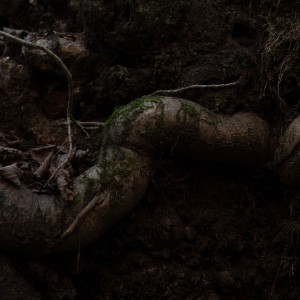 Album Prologue - The Other Side from 