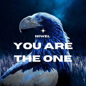 Niwel的專輯You Are The One