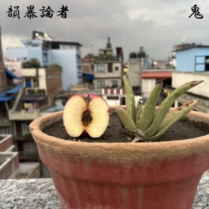 Listen to リンゴの種 (feat. 鬼) (Instrumental) song with lyrics from 韻暴論者