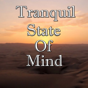 Album Tranquil State Of Mind, Vol.2 from The Dunes