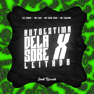 收聽DJ SAPO的Autoestima Dela Sobe X Leitada (feat. MC VUK VUK & MC CALVIN) (Explicit)歌詞歌曲
