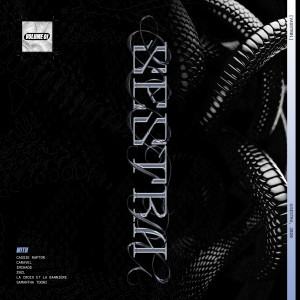 ดาวน์โหลดและฟังเพลง Importing Histories พร้อมเนื้อเพลงจาก Cassie Raptor