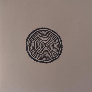 Ekin Fil的專輯Rosewood Untitled