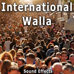 ดาวน์โหลดและฟังเพลง Fez, Morocco: Outdoor Crowd Ambience with Heavy Voices พร้อมเนื้อเพลงจาก Sound Ideas