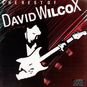 收聽David Wilcox的Bad Apple歌詞歌曲