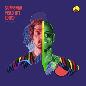 ดาวน์โหลดและฟังเพลง SOFRENDO FEITO UM LOUCO (SUMMER VERSION) พร้อมเนื้อเพลงจาก Luan Santana