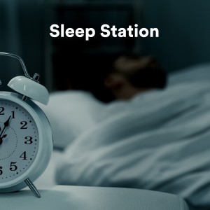 Album Sleep Station from World Music for the New Age
