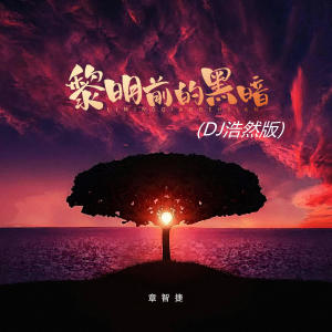 Album 黎明前的黑暗 (DJ浩然版) oleh 章智捷