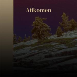 Album Afikomen from Various