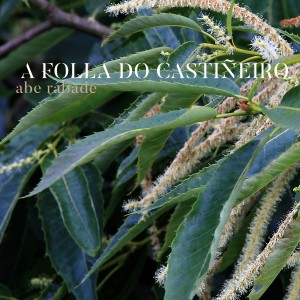 Abe Rábade的專輯A Folla do Castiñeiro