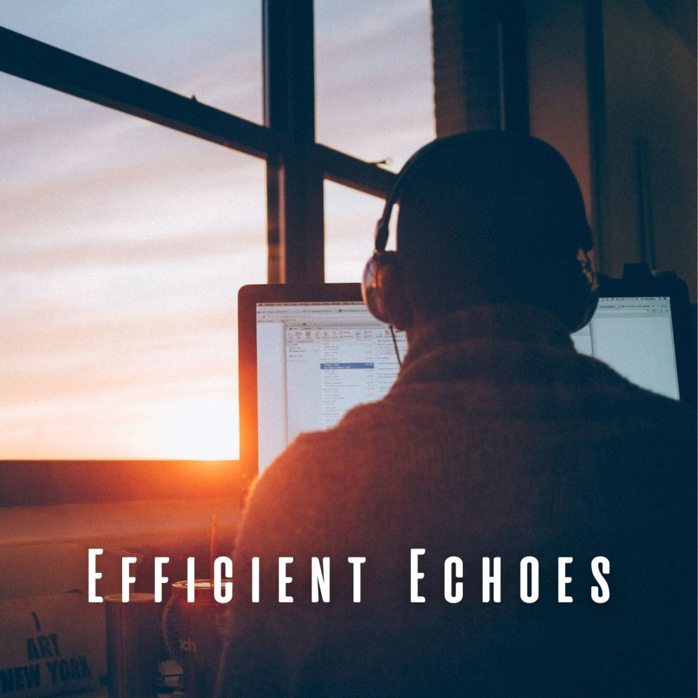 Echoes of Success