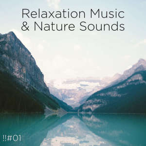 ดาวน์โหลดและฟังเพลง De-stress Nature Ambience พร้อมเนื้อเพลงจาก Nature Sounds