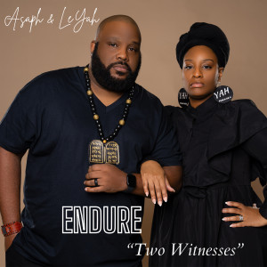 Album Endure "Two Witnesses" from Asaph