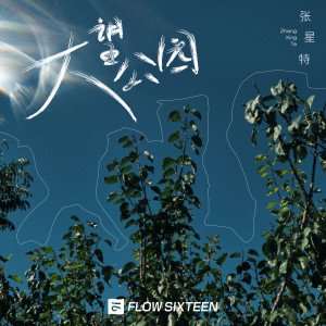 收聽張星特的大望公園歌詞歌曲