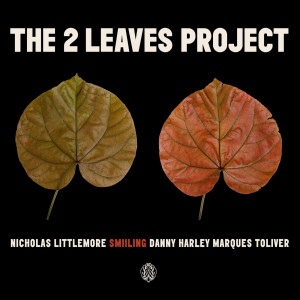 收听Nicholas Littlemore's The Two Leaves Project的Stolen Hours歌词歌曲