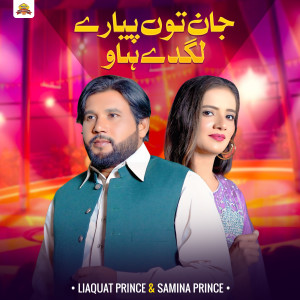 Album Jan Tu Peyary Lagday Hao from Liaquat Prince