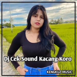 Dj Cek Sound Kacang Koro