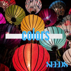 Seeds的專輯COLORS