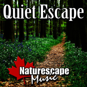 ดาวน์โหลดและฟังเพลง Leaving the City - Calming Bird Songs in the Forest พร้อมเนื้อเพลงจาก Naturescape Music
