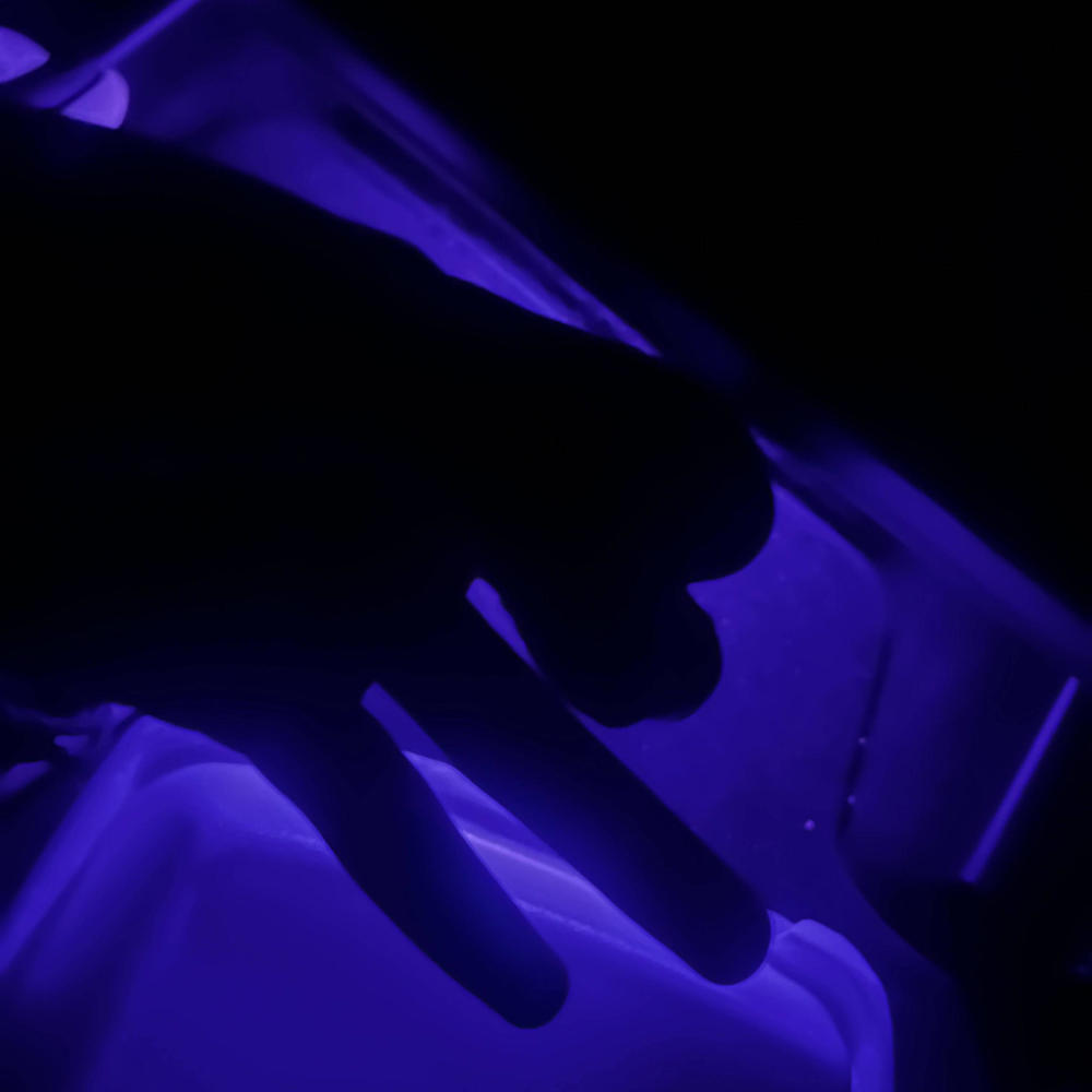 Aint going for it (Explicit)