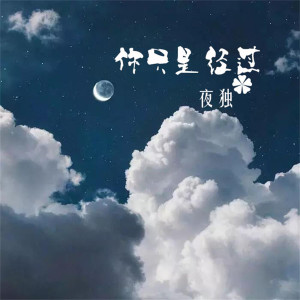 Dengarkan 你只是经过 lagu dari 夜独 dengan lirik