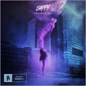Listen to Promise Me song with lyrics from Slippy