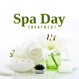 Listen to Ambient Music Spa song with lyrics from Tranquility Spa Universe