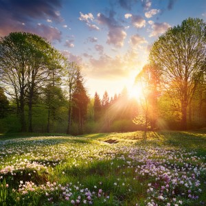 Background Relaxing Vibes的專輯Music For The Healing Journey Of The Spirit