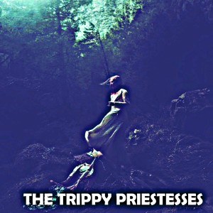 Larry Carlton的專輯The Trippy Priestesses