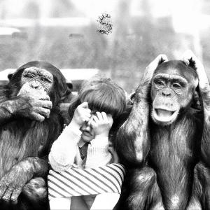Haaland936的專輯3 Singes (Explicit)