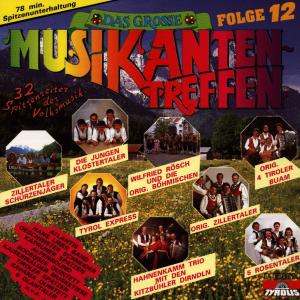 Listen to Willst du mei Schatz sein song with lyrics from Original Zillertaler