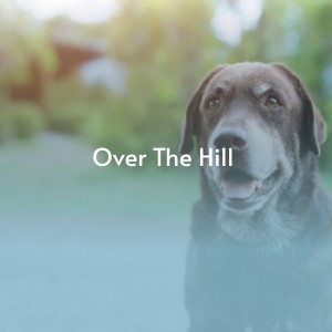 Dengarkan Cincinnati lagu dari Murph Gribble dengan lirik