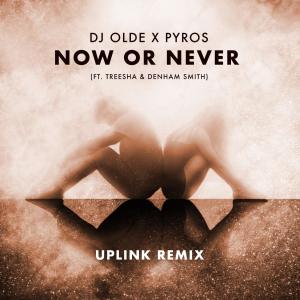 Now or Never (feat. Treesha & Denham Smith) [Uplink Remix]