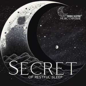 Blend in Bed Sleep Academy的专辑Secret of Restful Sleep (Music That Will Cure Your Insomnia, Bedtime Serenity, Tranquil Dreams)