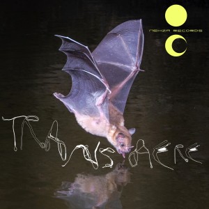 收聽Cardozo的Suada歌詞歌曲