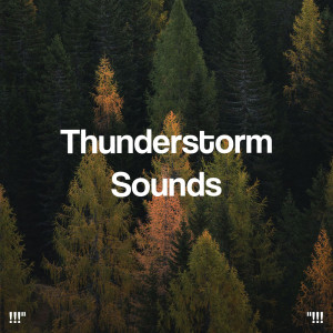 Album "!!! Thunderstorm Sounds !!!" oleh Sounds Of Nature : Thunderstorm, Rain