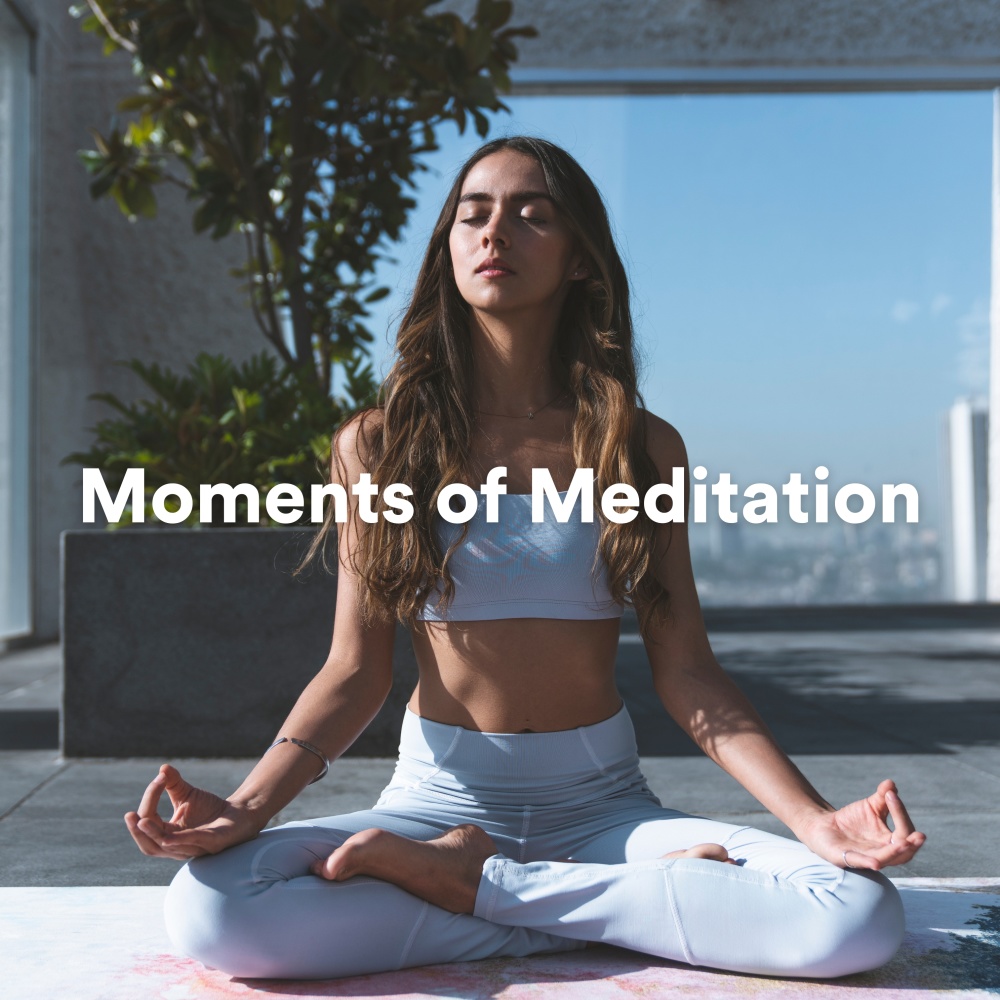 Lotus of Tranquility (Relaxation Music)